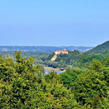 mustrova-pot-11-haloze-foto-crtomirrosic-tzptuj-lowres